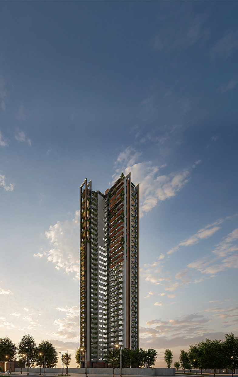 Excelsa By NorthernSky